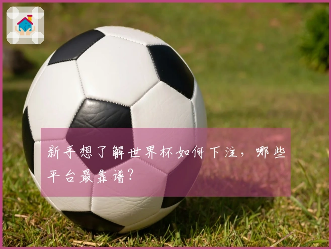 新手想了解世界杯如何下注，哪些平台最靠谱？