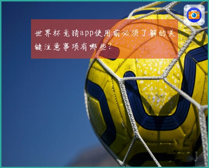 世界杯竞猜app使用前必须了解的关键注意事项有哪些？