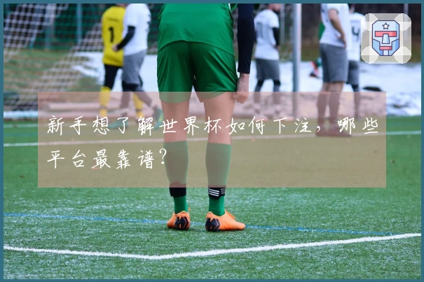 新手想了解世界杯如何下注，哪些平台最靠谱？
