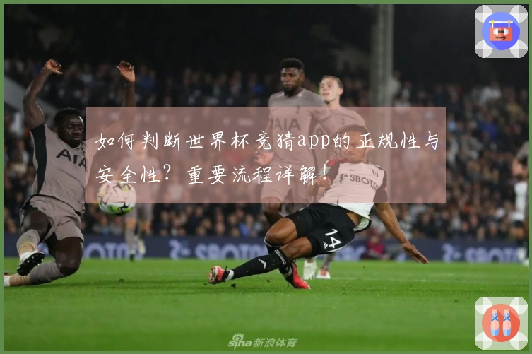 如何判断世界杯竞猜app的正规性与安全性？重要流程详解！