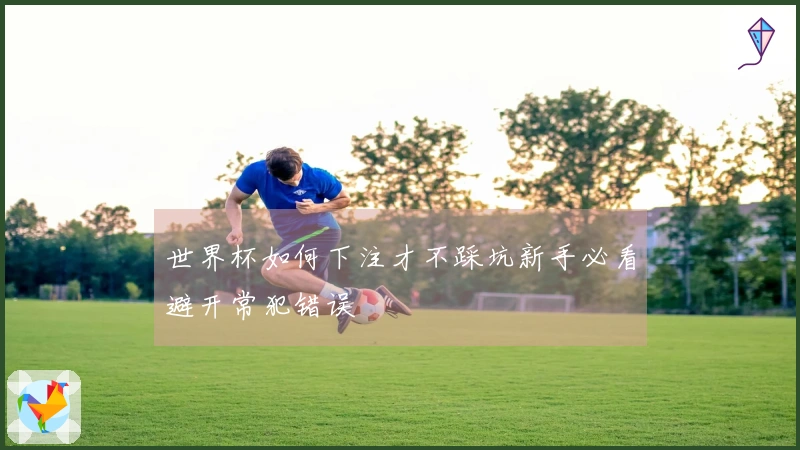 世界杯如何下注才不踩坑新手必看避开常犯错误